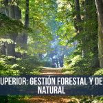 GRADO SUPERIOR: GestiÃ³n Forestal y del Medio Natural