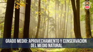 GRADO MEDIO: Aprovechamiento y ConservaciÃ³n del Medio Natural