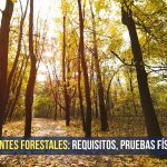 sueldos agentes forestales